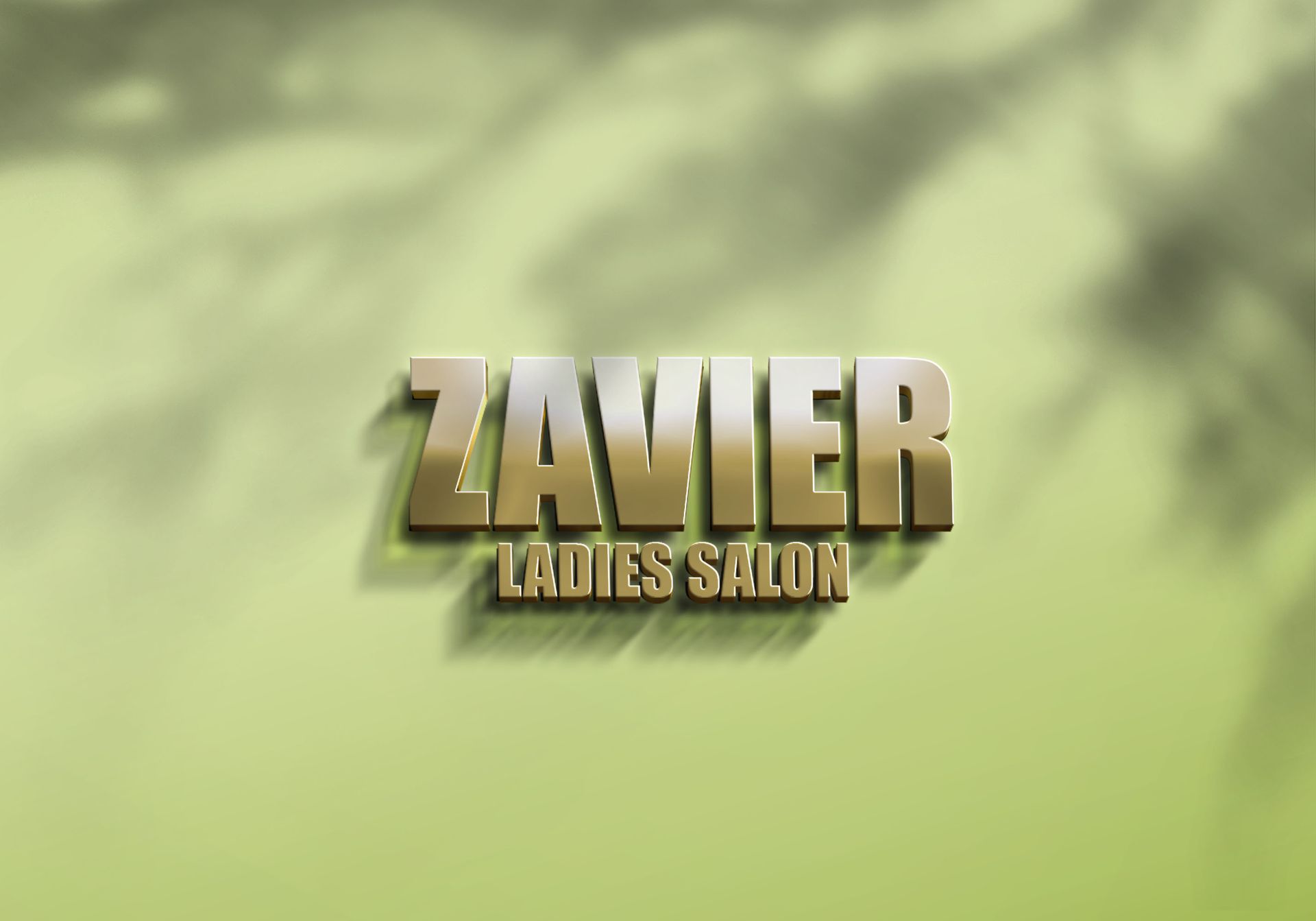 Zavier  Ladies Salon